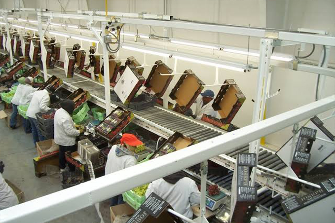 stanfrey engineering limited